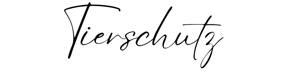 Tierschutz – Hero Bild